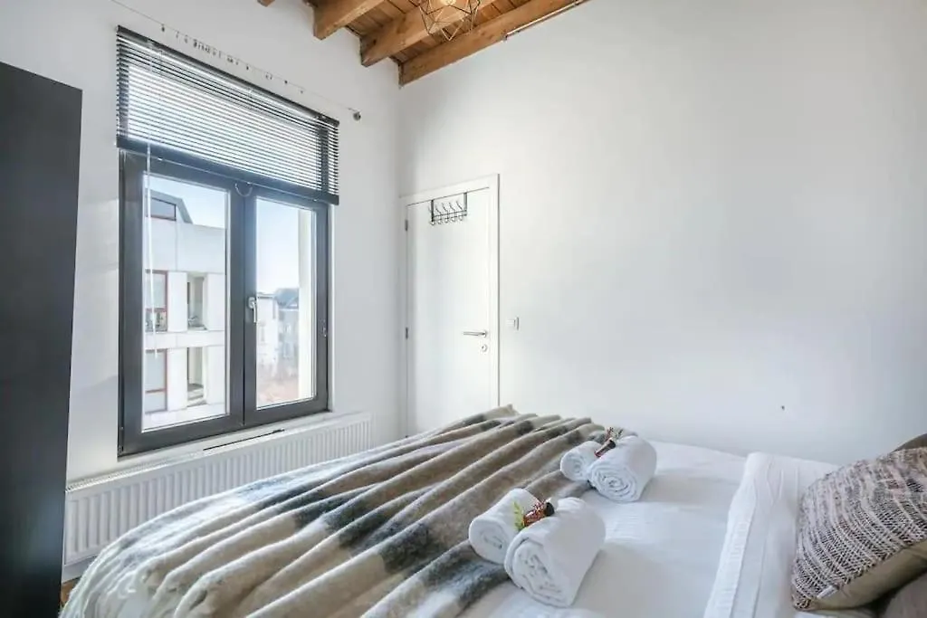 Vibrant 1-Bedroom Apartment In Antwerp'S Lively Zu Belgium